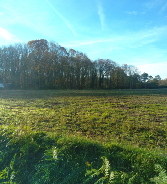 IMG-20231126-100613-1.jpg