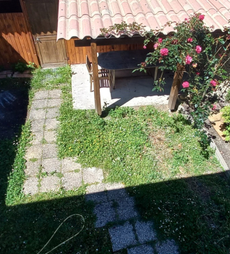 thumbnail-20240510-122522.jpg