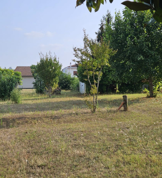 papsimmo-112-6830a17ab5c79.jpg