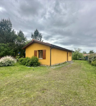 papsimmo-123-6830a17ac7a59.jpg