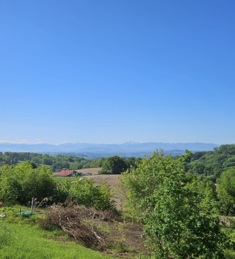 papsimmo-169-6835641522294.jpg