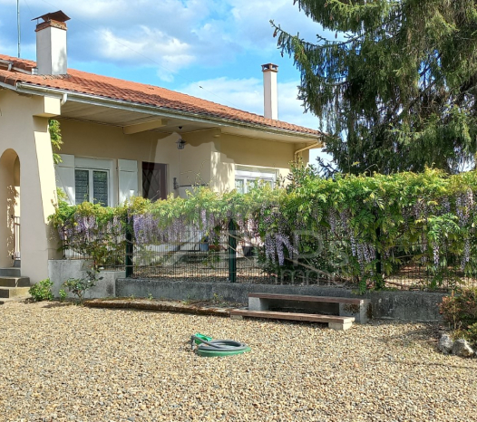 papsimmo-61-6830a1718219c.jpg