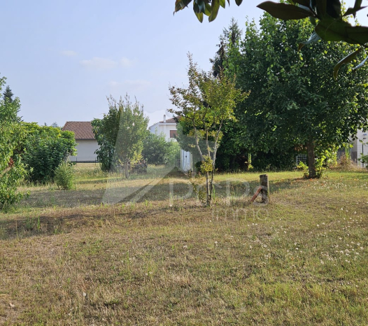 papsimmo-112-6830a17ab5c79.jpg