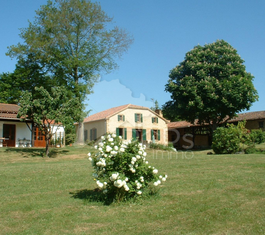papsimmo-136-6830a181109c5.jpg