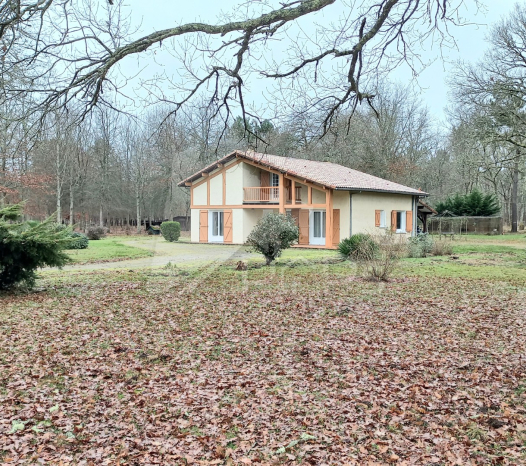 papsimmo-141-6830a1818c0b9.jpg