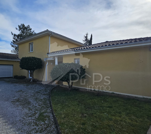 papsimmo-156-69a5c00eb1901.jpg