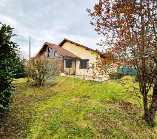 papsimmo-159-6830a1865c668.jpg