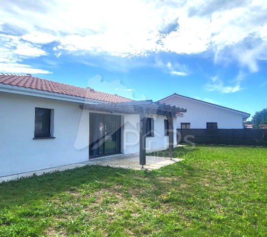 papsimmo-192-68e691889bbe4.jpg