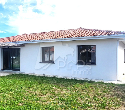 papsimmo-192-6a19c63e73215.jpg