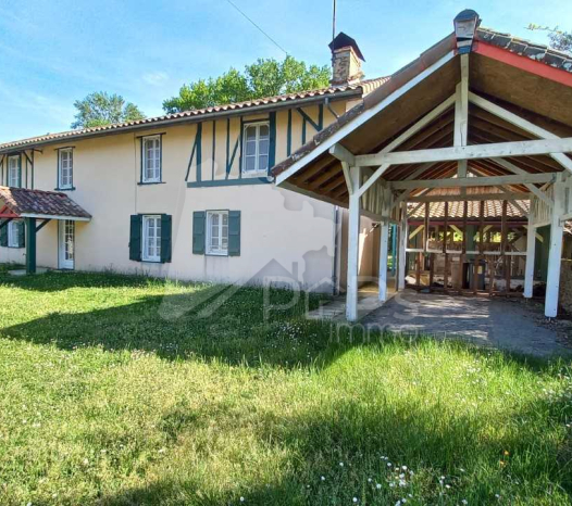 papsimmo-223-0.jpg