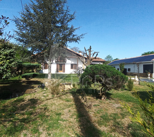 papsimmo-221-6a5f9bc778d7a.jpg