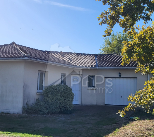 papsimmo-255-6ada24f77f4be.jpg