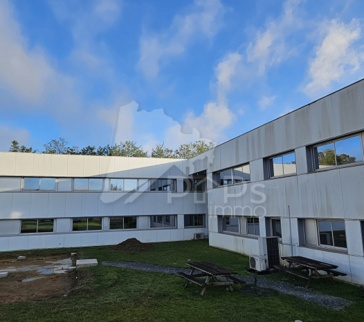 papsimmo-124-688b0e672bfca.jpg